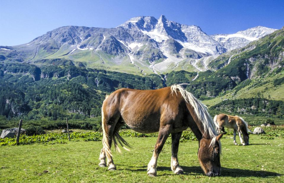 Rauris, Austria (Shutterstock / visualpower)