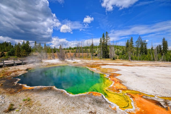 <span class="article__caption">Geyser in Yellowstone. Nature and landscape.</span> (: Philippe Sainte-Laudy Photography/Moment via Getty Images)