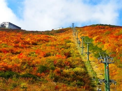 【驚奇景點】天神的遊樂場？白馬滑雪跳台冰雪盛會！