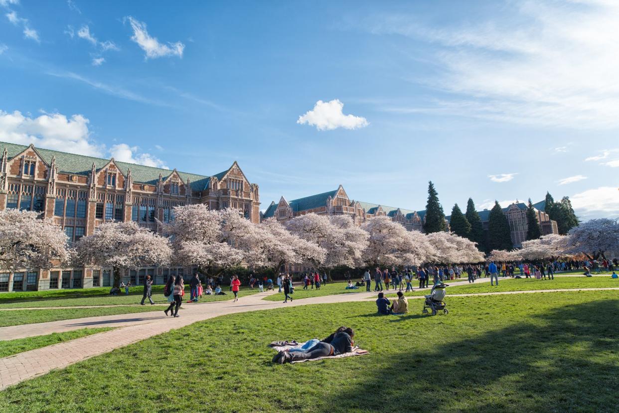 Seattle, USA - March 16th, 2016: Beautiful spring sunny day, college students and visitors enjoying cherry blossoms in the Quad, University of Washington Campus.