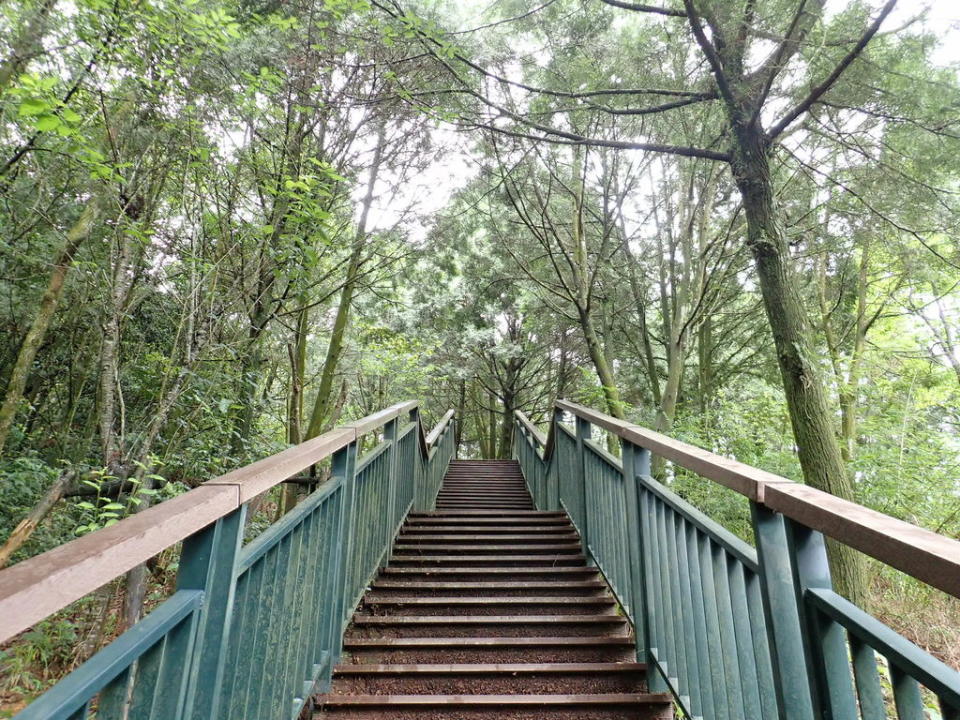 南投金龍山步道