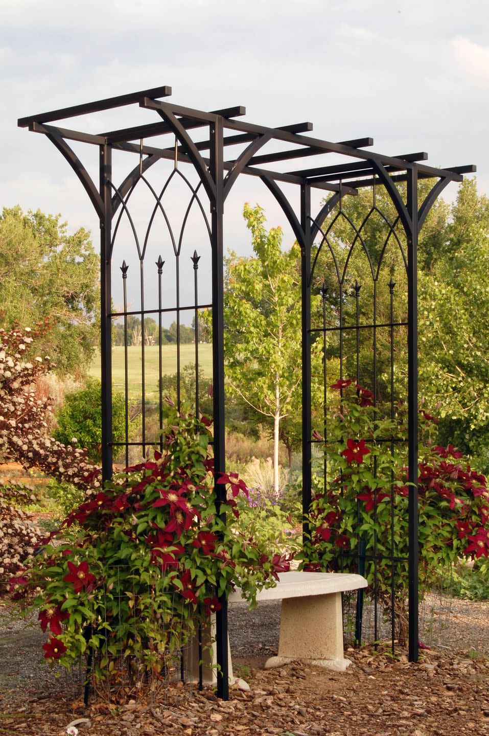 springtime flower garden with black metal trellis and concrete bench surrounded by red flowers and plants