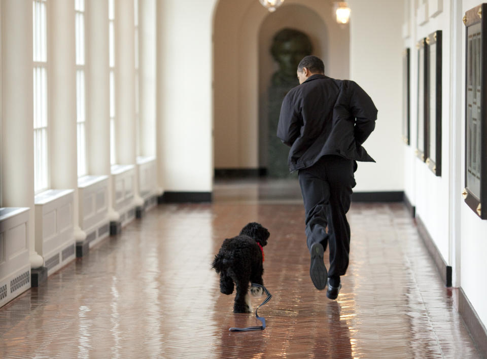 In this handout image released by the White House on April 13, 2009, Obama runs down a corridor with the family's new dog, Bo.