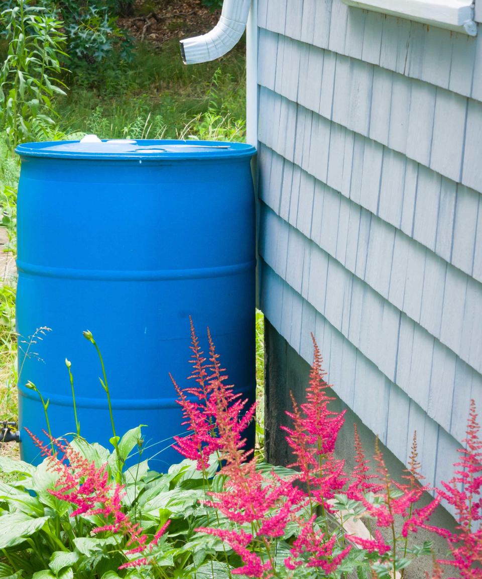 rain barrel