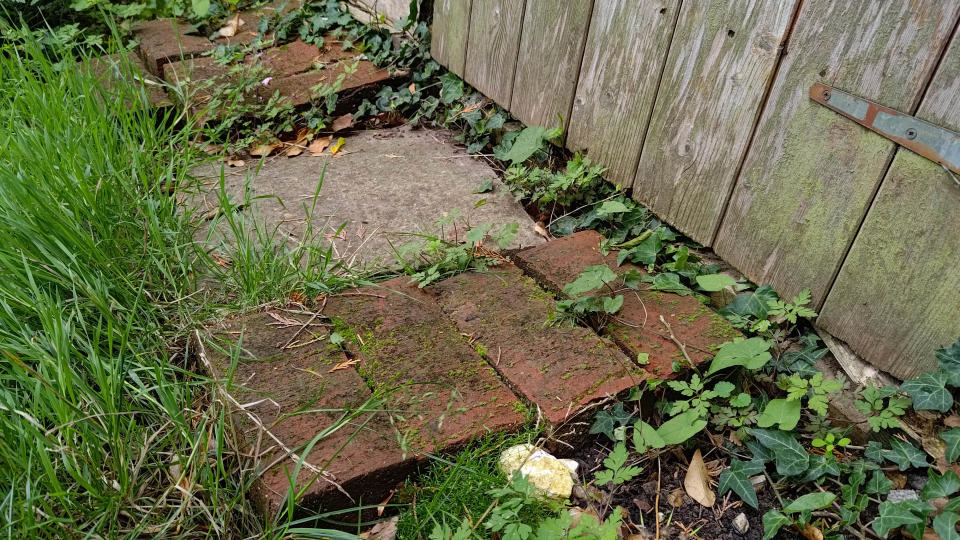 Brick weed barrier