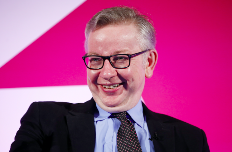 Michael Gove is back in the cabinet as Environment Secretary (Rex)