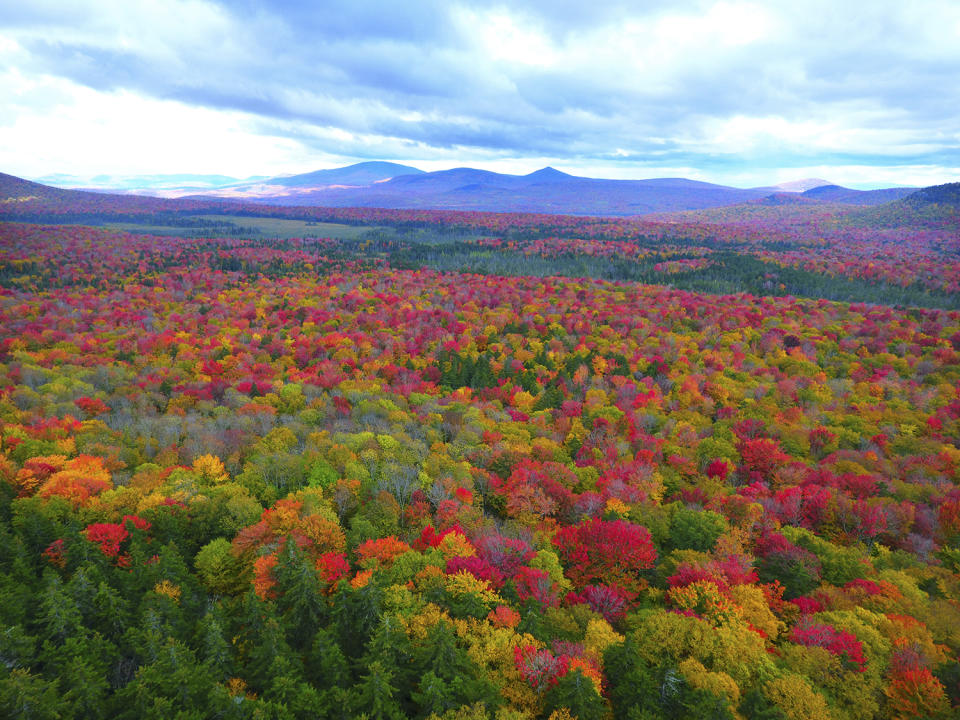 Aerial images capture beautiful autumn landscape 