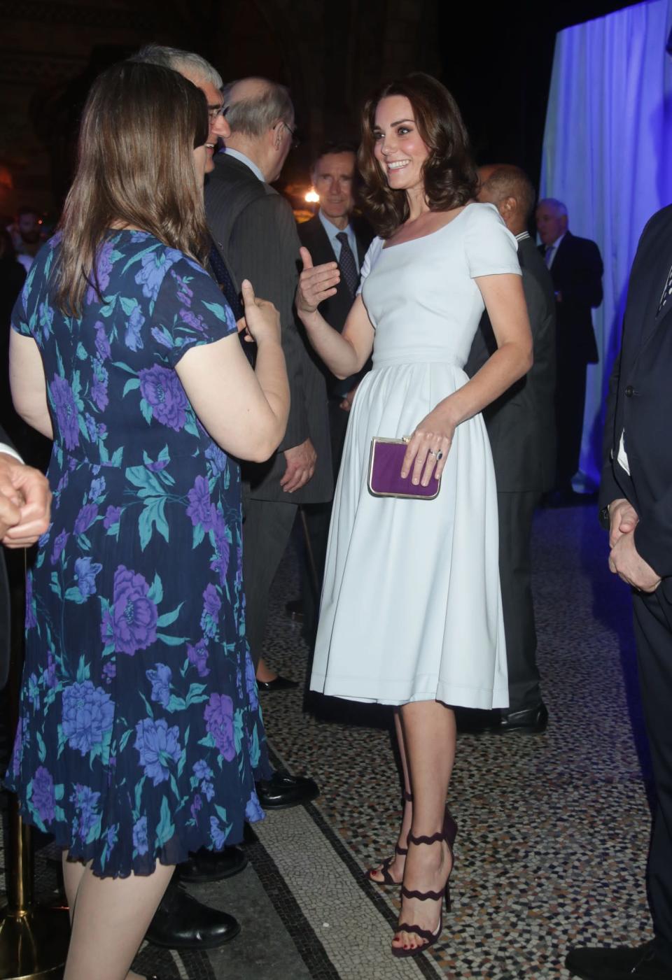 <p>Kate went for a much simpler look for the re-opening of the Hintze Hall at the Natural History Museum. Wearing a powder blue midi dress by London-based label Preen, she towered above the other guests in a pair of plum scalloped sandals by Prada.<br><em>[Photo: PA]</em> </p>