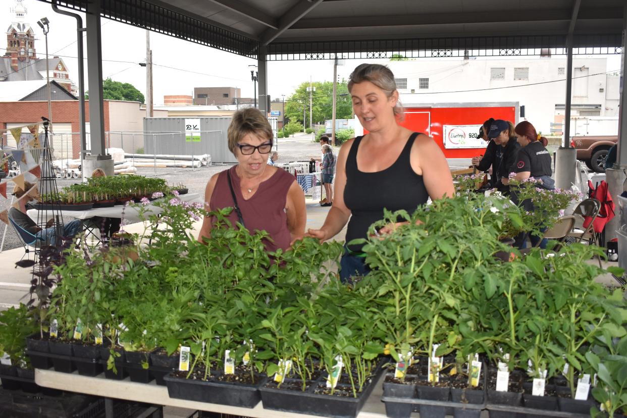 Beverly Nickle, right, of Needle Lane Farms in Tipton, discusses some of her fresh plants and produce with customer Pam Wood of Adrian during Saturday's opening day of the Adrian City Market at the Pavilion. The weekly market will run from 9 a.m. to 1 p.m. Saturdays through Oct. 1 at the Toledo Street Pavilion in downtown Adrian.