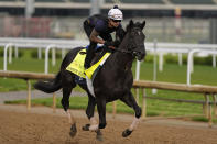 Kentucky Derby hopeful Domestic Product works out at Churchill Downs Tuesday, April 30, 2024, in Louisville, Ky. The 150th running of the Kentucky Derby is scheduled for Saturday, May 4. (AP Photo/Charlie Riedel)