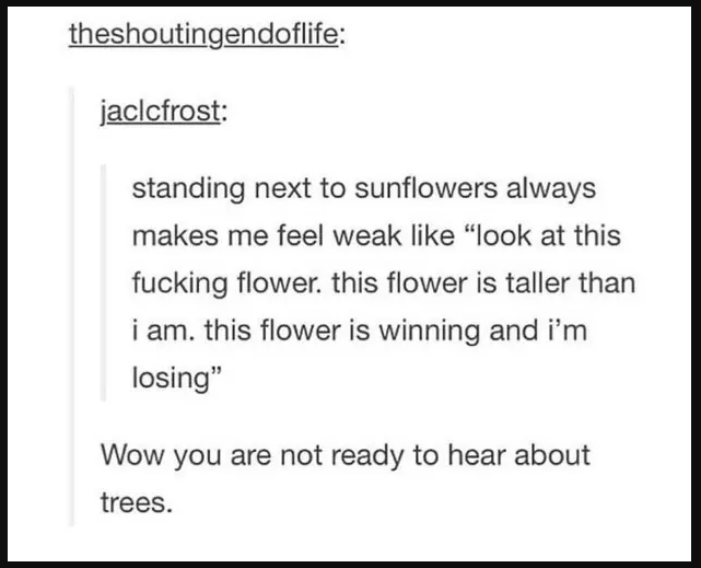 A screenshot of a Tumblr post with humorous comments about feeling overshadowed by a tall flower