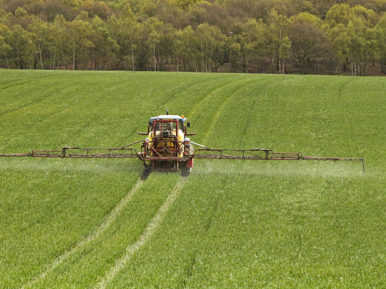 Experts have raised concerns about the health impacts of endocrine disruptors used in some pesticides: Getty