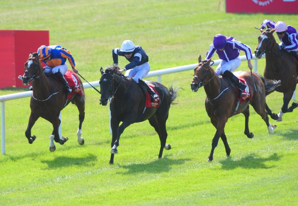 Saxon Warrior (right) was beaten by Latrobe in the Irish Derby and may be the vale in the Eclipse at Sandown