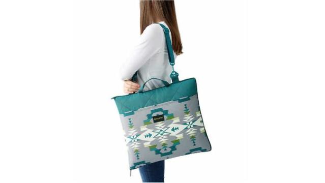 Costco, Other, Costco Wholesale Insulated Bag Tote