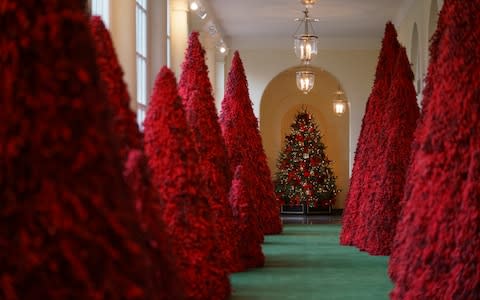 The red topiary trees in the East Colonnade are proving to be divisive - Credit: Carolyn Kaster/AP