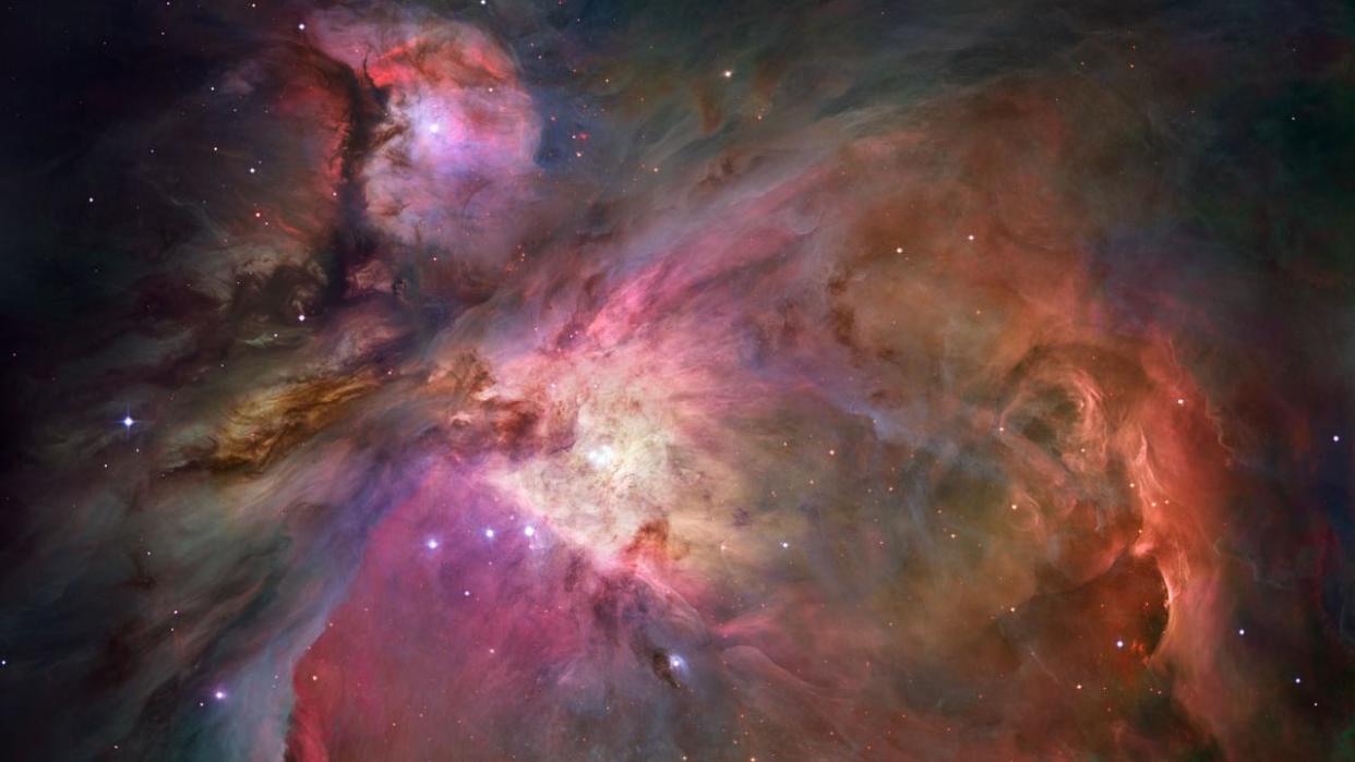 The Webb NIRCam's long-wavelength channel view of the ionized gas, dust, and molecular gas in the Orion Nebula.