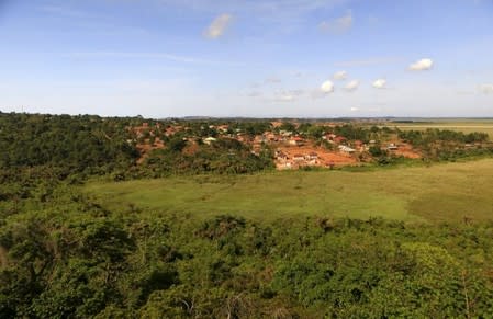 Houses are built in the periphery of the Zika Forest in Entebbe, south of Uganda's capital Kampala March 2, 2016. REUTERS/James Akena