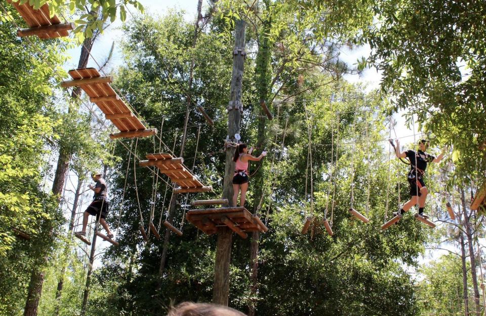 Climb your way through Orlando Tree Trek Adventure Park.