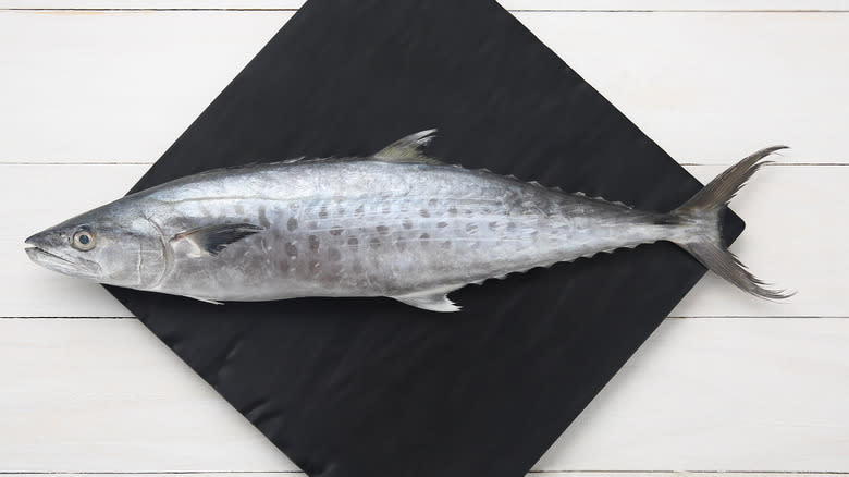 king mackerel on wood table