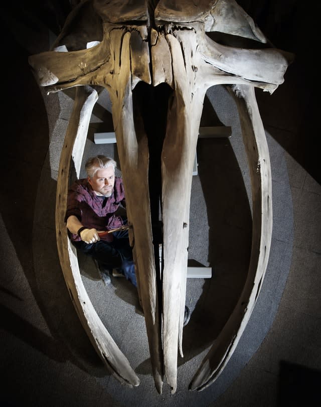 Hull Maritime Museum refurbishment