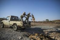 Workers at the game farm dispose of a carcass of a dead animal