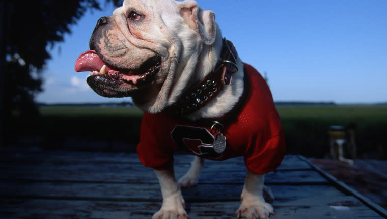 All of University of Georgia’s Bulldogs Come From This One Family