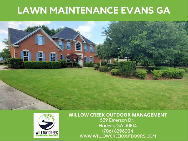 Evans GA yard healthy lawn maintenance Willow Creek Outdoor Management