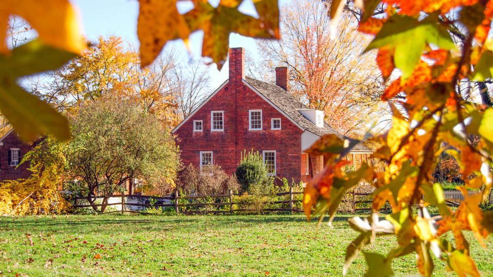 WendyOlsenPhotography / Getty Images/iStockphoto