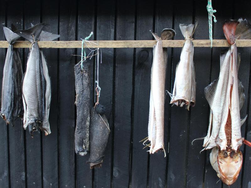 Fisch ist auf den Färöer Inseln ein Grundnahrungsmittel - ob frisch oder getrocknet, es gibt ihn in vielen Varianten. Foto: Lea Sibbel