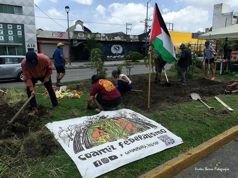 Voluntarios trabajan en la siembra un huerto comunitario, ubicado en el camellón de una avenida.