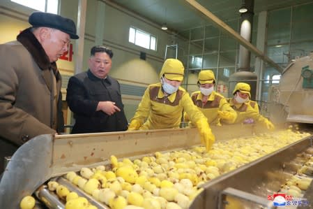 FILE PHOTO: North Korean leader Kim Jong Un inspects the Samjiyon Potato Farina Production Factory in Samjiyon County, North Korea