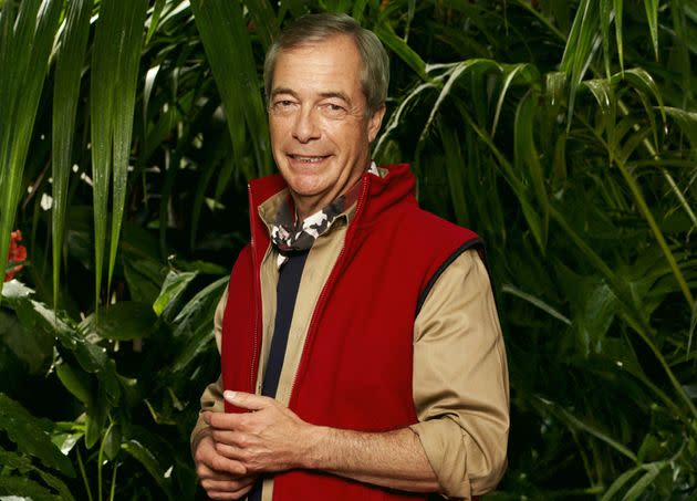 Nigel Farage is entering the I'm A Celebrity jungle