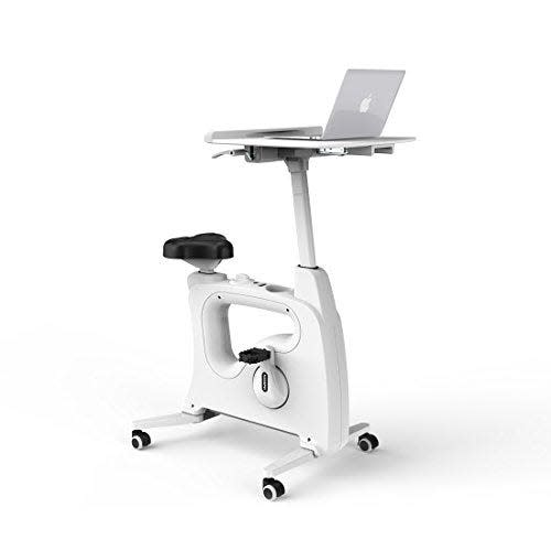 2-in-1 Fitness Chair