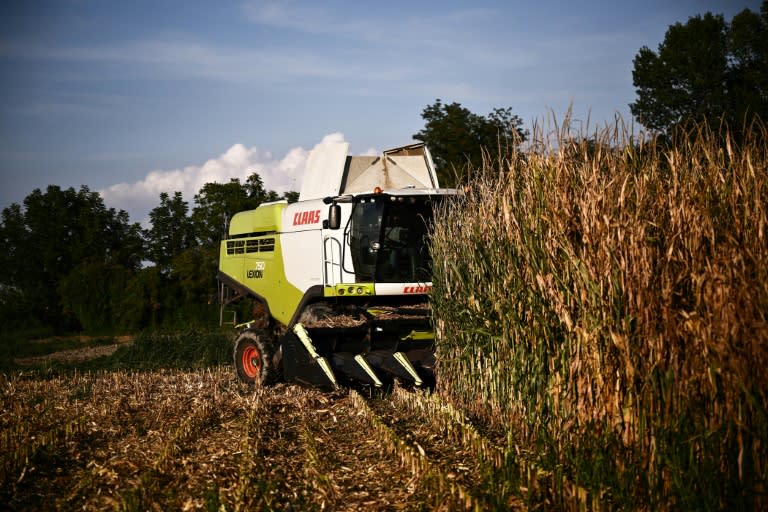 Un Indien travailleur saisonnier dans l'agriculture près de Rome est décédé deux jours après avoir été abandonné par son employeur avec un bras arraché à la suite d'un accident du travail (MARCO BERTORELLO)