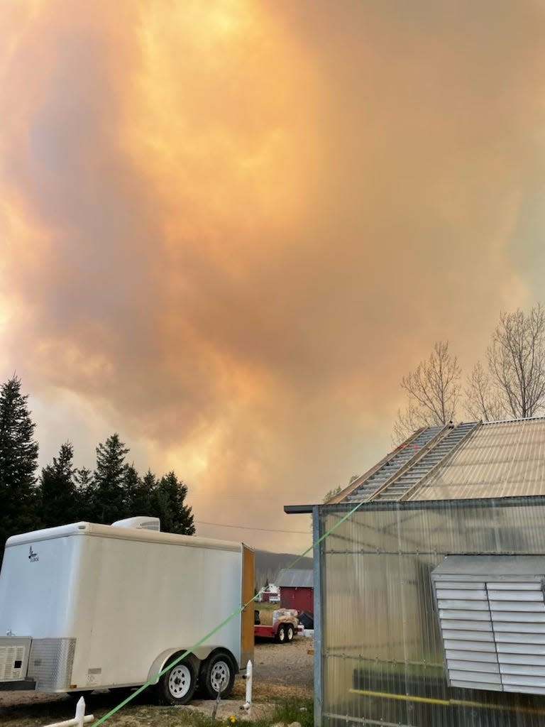 Smoke from the Hermits Peak/Calf Canyon Fire billows into the sky earlier this month as seen from New Mexico State University’s John T. Harrington Forestry Research Center in Mora. The fire shuttered the center’s operations and prompted a whirlwind chain of events to save elements of crucial reforestation work.