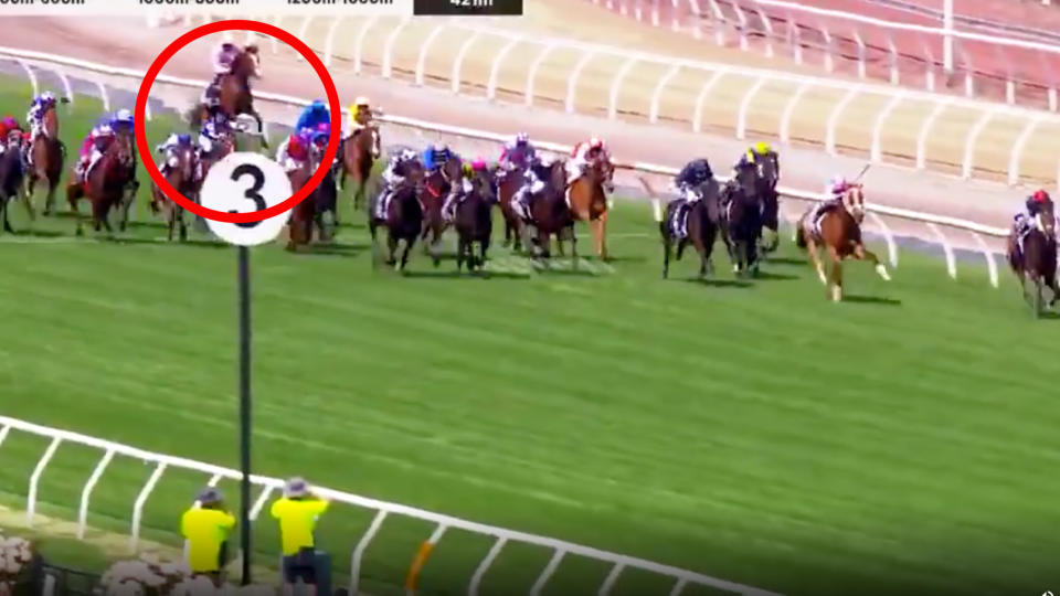 Racehorse Anthony Van Dyck is circled in the moment he is injured during the Melbourne Cup.