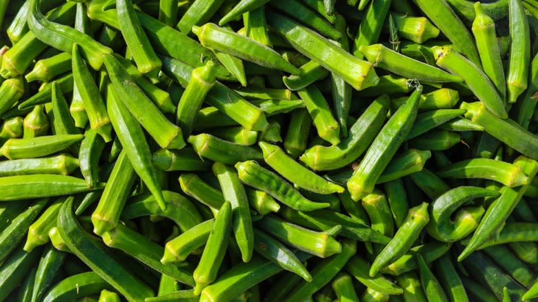 mass of okra