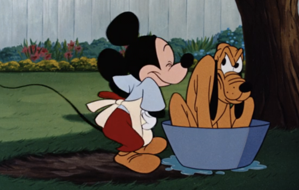 I think it's possible that Pluto originally auditioned to play the character of Goofy, but he wasn't a very strong actor. Nevertheless, his dazzling good looks and charismatic personality charmed the Disney casting director, so they created a role as Mickey's pet specifically so Pluto could join the main cast despite his subpar acting abilities.Conclusion: POSSIBLE BUT UNLIKELY