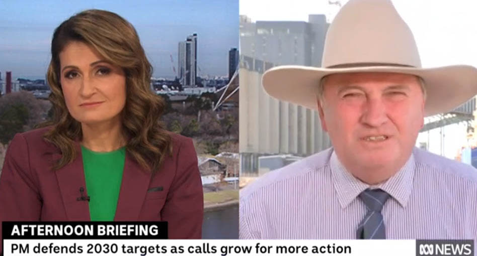 A screenshot of nn ABC TV interview between Afternoon Briefing host Patricia Karvelas and the Deputy Prime Minister Barnaby Joyce. Source: ABC