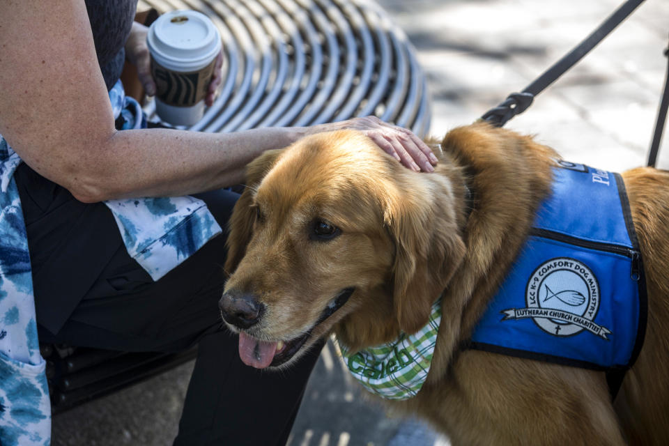 People come to mourn and interact with comfort dogs at memorial sites around the city center as Central Street reopened to the public on July 10, 2022, in Highland Park, Ill. (Jim Vondruska / Getty Images)