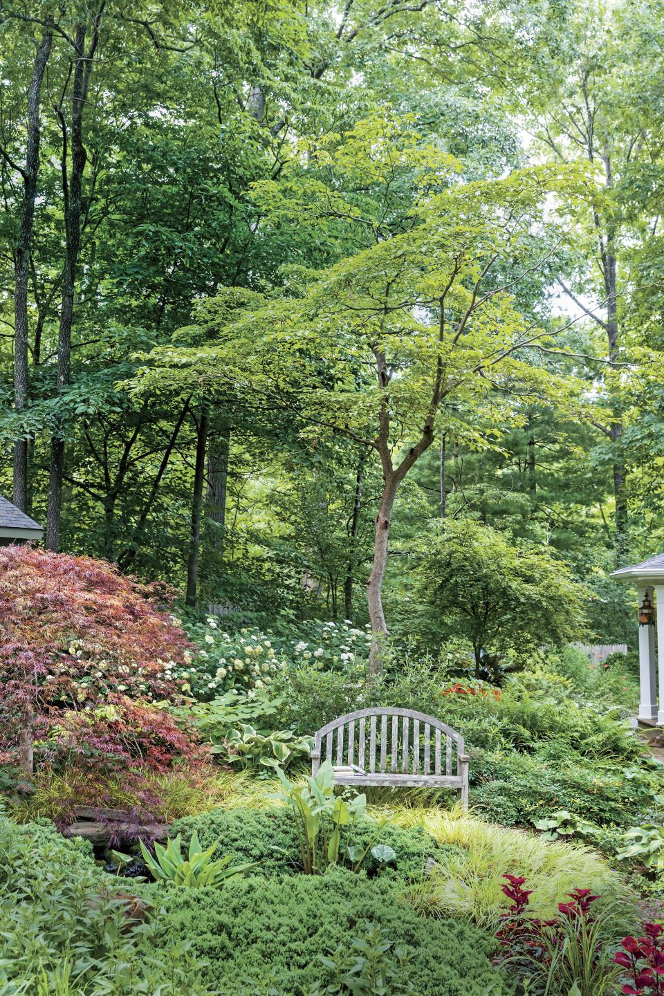 Pick Foliage Over Flowers in a Shade Garden