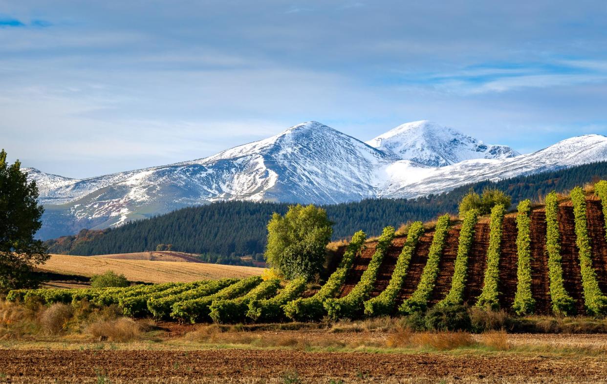 <span>Up, up and away: ‘Winemakers are now making rioja at higher altitudes.’</span><span>Photograph: AlbertoLoyo/Getty Images/iStockphoto</span>