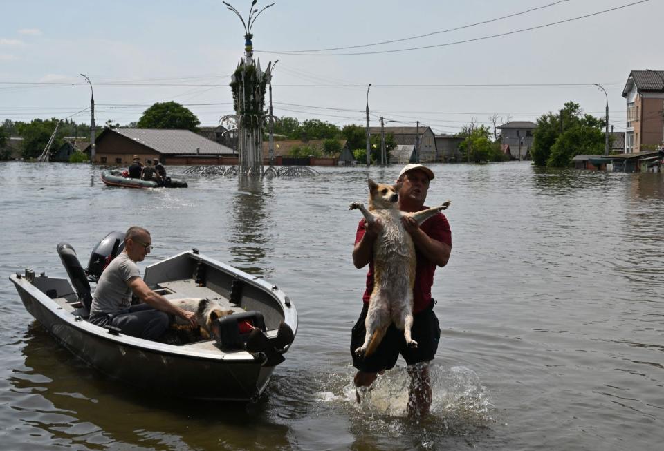 A volunteer carries a dog during an evacuation from a flooded area in Kherson on June 8, 2023, following Russia's demolition of the Kakhovka dam. (Photo: Genya Savilov/AFP)
