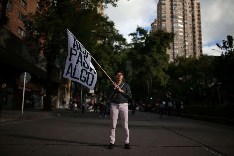 Wider Image: Portraits from the frontlines of global protests
