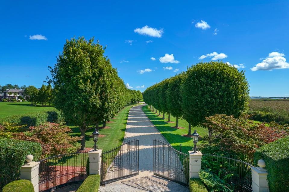 A tree-lined drive heads to the homes. Hedgerow Exclusive Properties