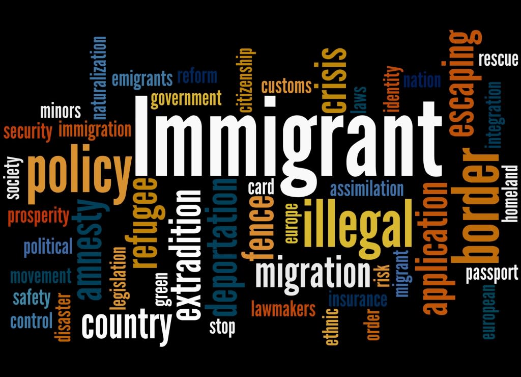 an image that includes several words related to immigration policy