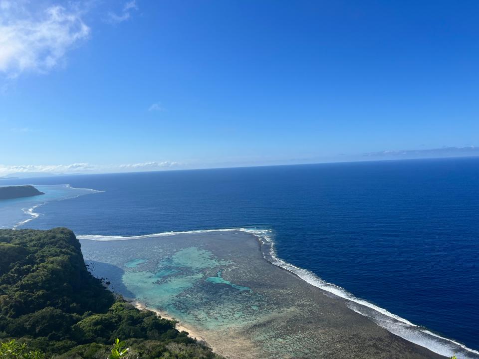 View of green forest, a beach with clear-blow water showing coral beneath, a dark-blue ocean, and bright-blue sky