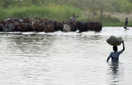 Lake Chad -- whose waters border Niger, Nigeria and Cameroon -- was overrun by Boko Haram during the nine year conflict and authorities have struggled to rid the region of the jihadists