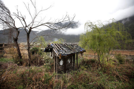 The door of surviving villager Wang Guocheng's dwelling stands among weeds at a minority village heavily damaged in 2008 Sichuan earthquake on a mountain in Wenchuan county, Sichuan province, China, April 5, 2018. REUTERS/Jason Lee
