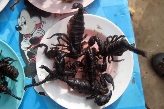 Fried Scorpion (Vietnam and other Asian countries)